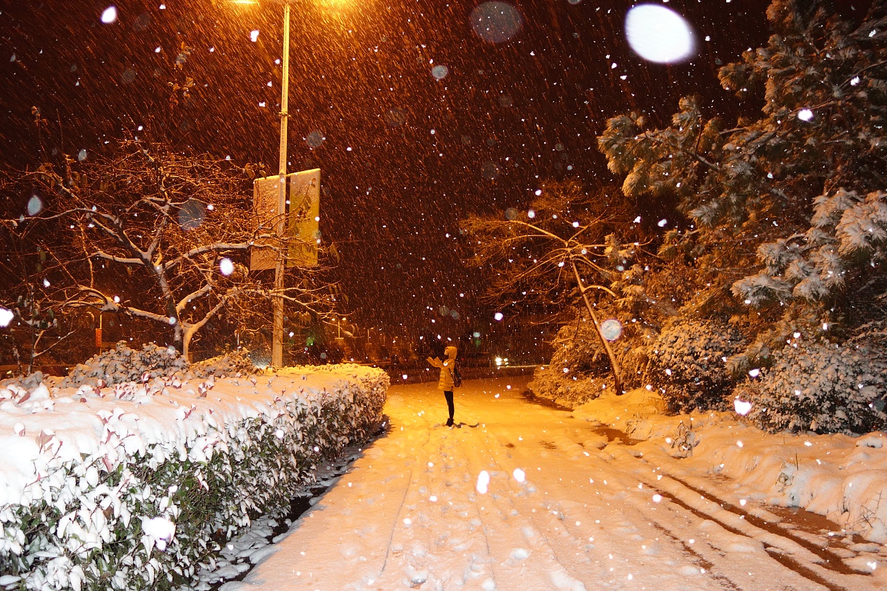 雪夜齐齐哈尔